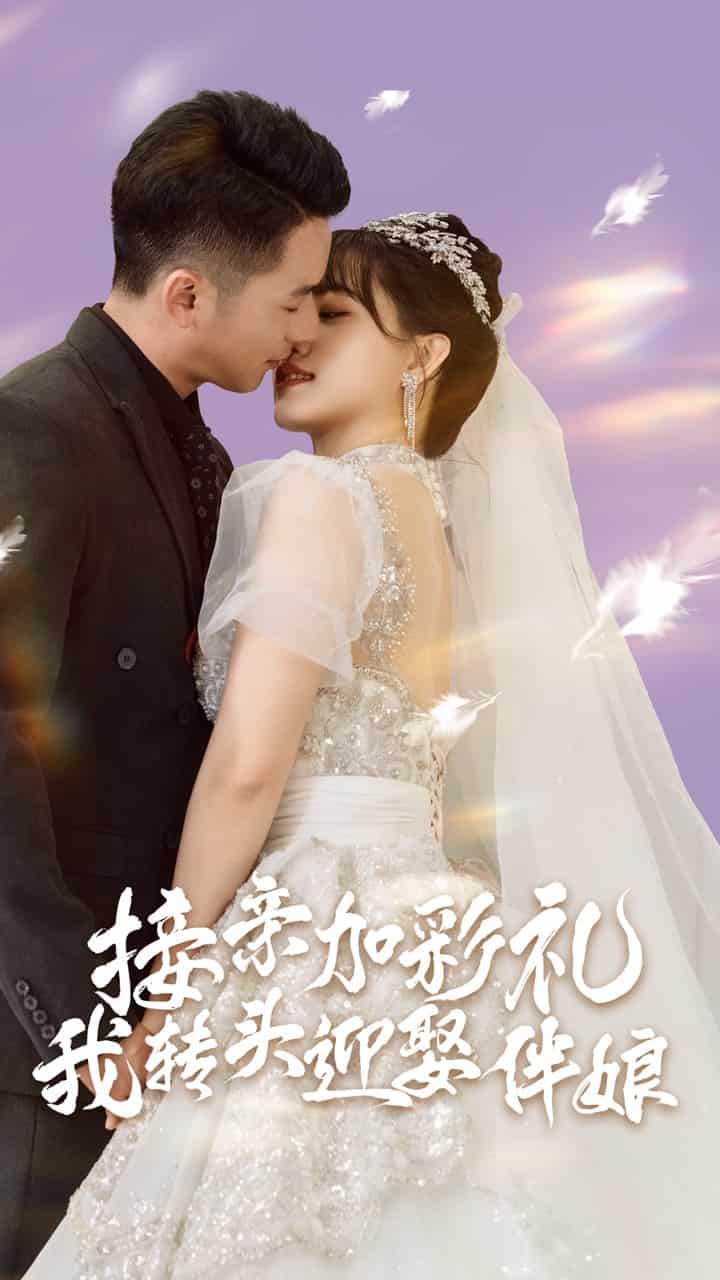 接親加彩禮，我轉(zhuǎn)頭迎娶伴娘(全集)