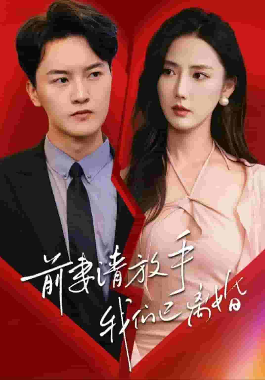 前妻請(qǐng)放手，我們已離婚(全集)