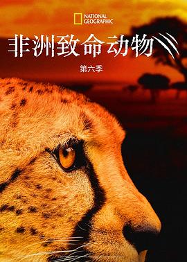 非洲致命動(dòng)物第六季(全集)