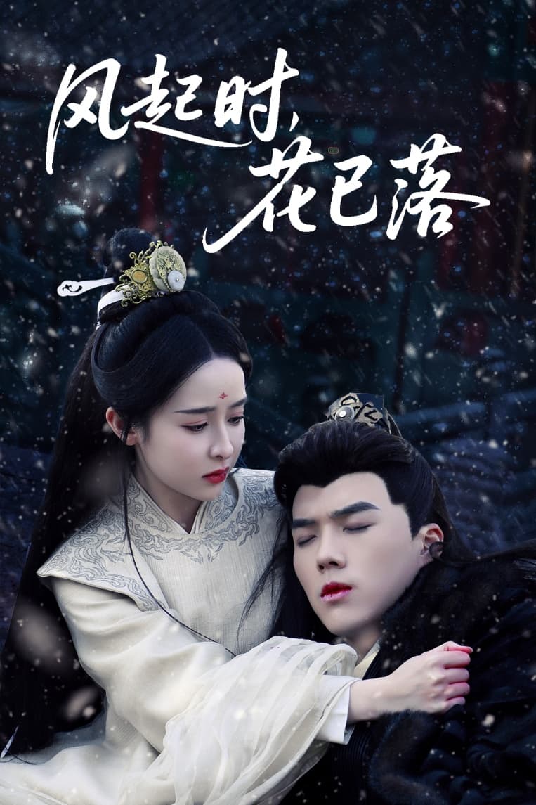風(fēng)起時(shí)，花已落(全集)