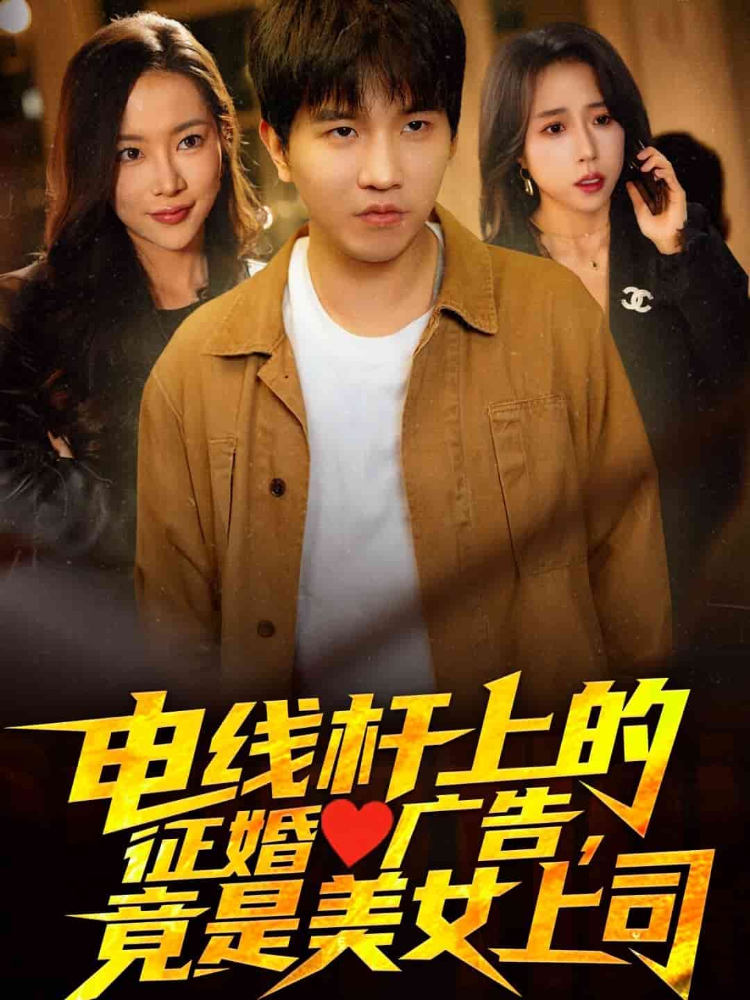 電線桿上的征婚廣告，竟是美女上司(全集)