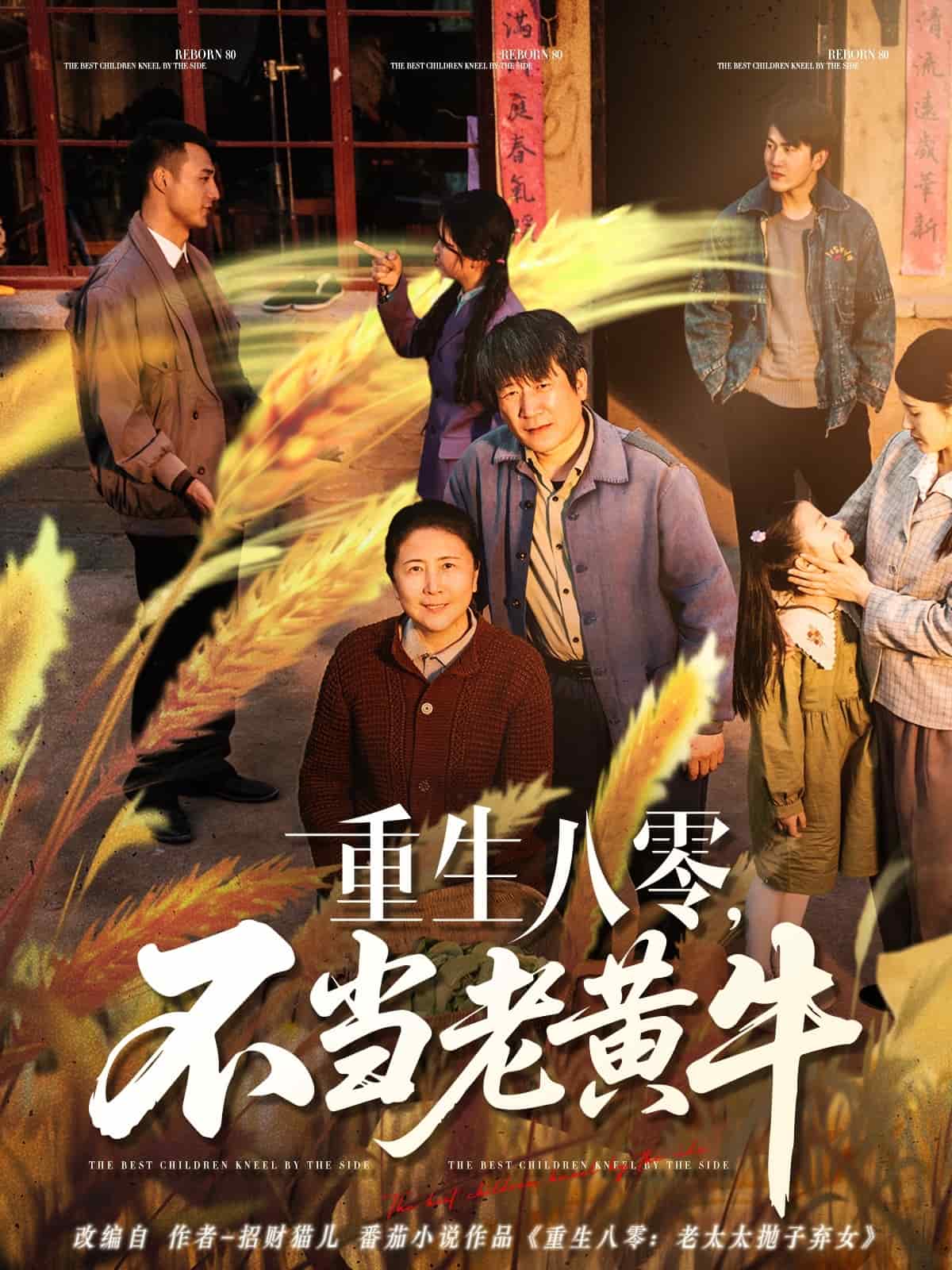 重生八零，不當(dāng)老黃牛(全集)
