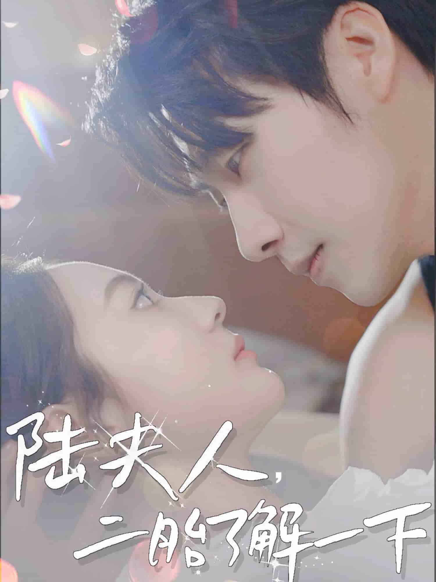 陸夫人，二胎了解一下(全集)