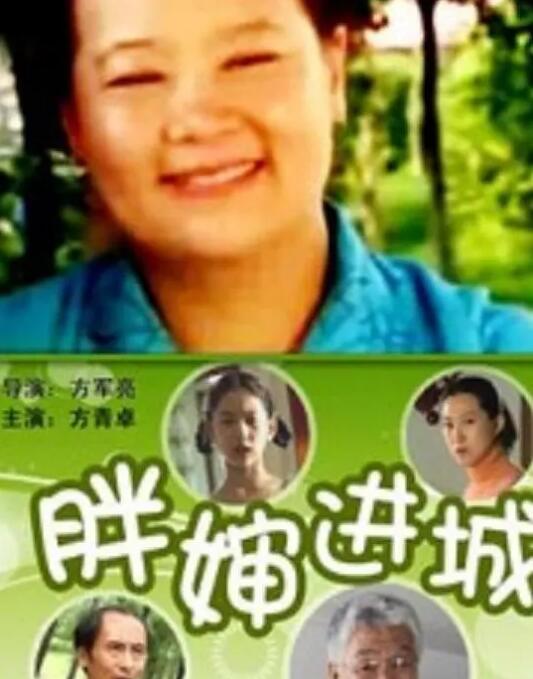 胖嬸進(jìn)城(全集)